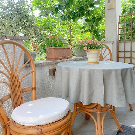 Santo Apartment Novigrad  Ngoại thất bức ảnh