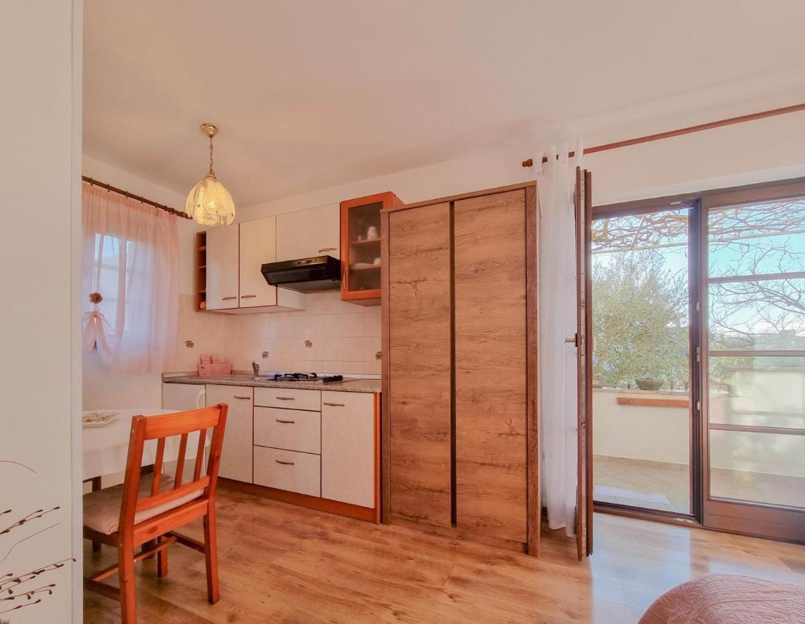 Santo Apartment Novigrad  Ngoại thất bức ảnh