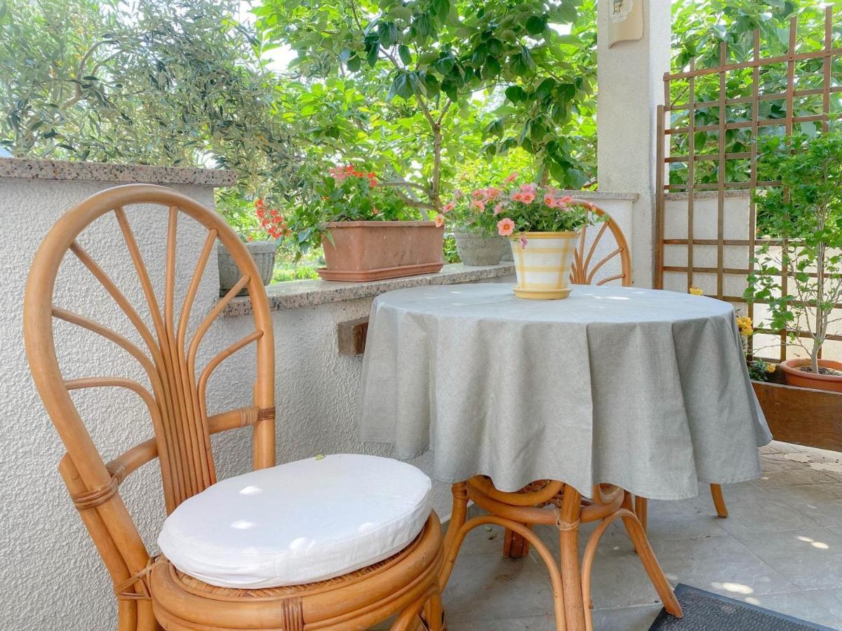 Santo Apartment Novigrad  Ngoại thất bức ảnh
